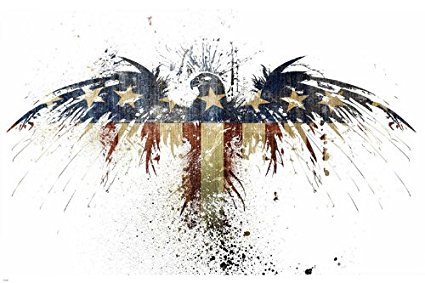 STARS & STRIPES American Eagle POSTER 24X36 UNIQUE PATRIOTIC Painted Design