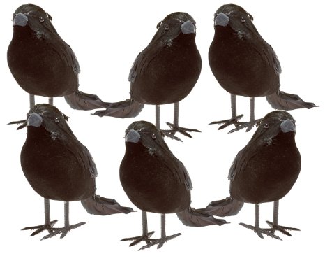 Halloween Black Feathered Small Crows – 6 Pc Black Birds Ravens Props Décor Halloween Decorations Birds