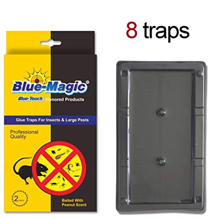 Blue Touch Large Glue Board Professional Sticky Traps Totally 8 Traps