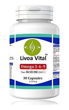 Omega 3 Krill Oil with Antioxidant - More Potent Than Fish Oil - Burpless Capsules - Fast and Efficient Absorption - High Grade Pure Essential Fatty Acids EPA DHA Astaxanthin - 1000mg Per Serving - Antarctic Small Soft Gel Capsules - Health Food Nutritional Diet Supplement