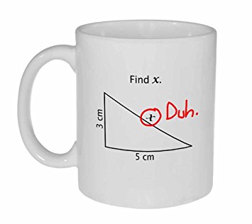 Find X Funny Math Coffee or Tea Mug
