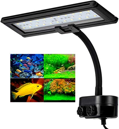 Hygger Aquarium Fish Tank Light, White and Blue LEDs, Clip on Led Clamp Light for Aquarium Lighting, with Adjustable Clip Fits on Rimless or Black Rim Tank