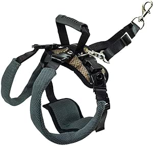 PetSafe CareLift Rear Support Harness - Lifting Aid with Handle - Great for Pet Mobility and Older Dogs - Comfortable, Breathable Material - Easy to Adjust - Medium, Carelift