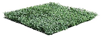 Synturfmats Artificial Boxwood Hedge Privacy Fence Screen Greenery Panels - Two Tone Green (20"x20" Pack of 12pcs)