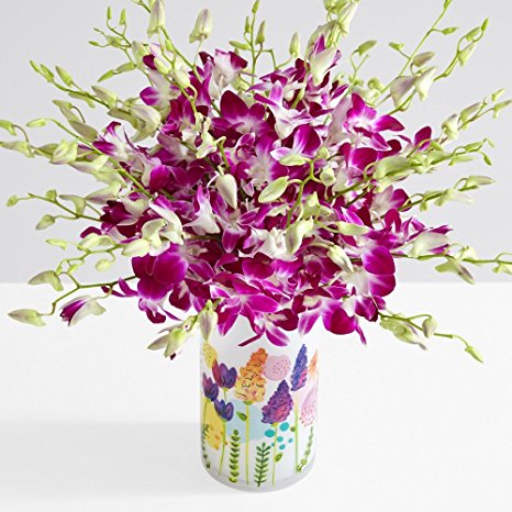 ProFlowers - 30 Count Purple Deluxe Purple Dendrobium Orchids w/Free Clear Vase - Flowers