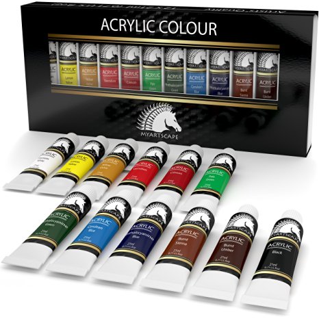 MyArtscape Acrylic Paint Set, 12x21ml
