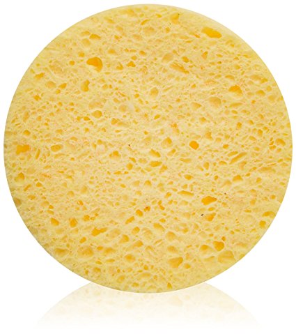 FantaSea Cellulose Cleansing Sponge, 12-Count Bags (Pack of 2)