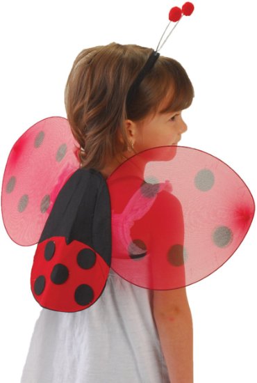 US Toy Lady Bug Wings & Antenna Costume Set