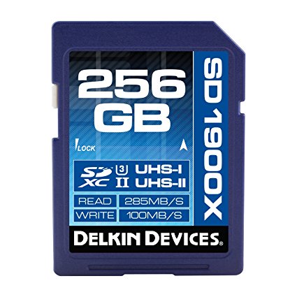 Delkin 256GB SDXC 1900X UHS-I (U3) Memory Card (DDSD19002H)