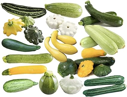 This is a Mix!!! 50  Zucchini and Squash Mix Seeds 12 Varieties Non-GMO Delicious Grown in USA. Fast Growing, Rare, Super Profilic,