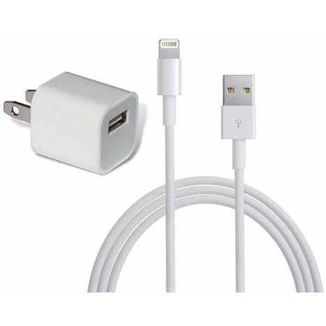 OEM Original Lightning to White USB Travel Cell Phone Wall Charger Adapter With 8-pin Lightning Cable For iPad/ iPhone 5/ 5C/ 5S/ 6/ 6s/ iPod Touch