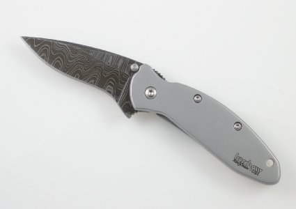 Kershaw Knives 1620DAM Assisted Opening Scallion Linerlock Knife with Damascus Steel Blade