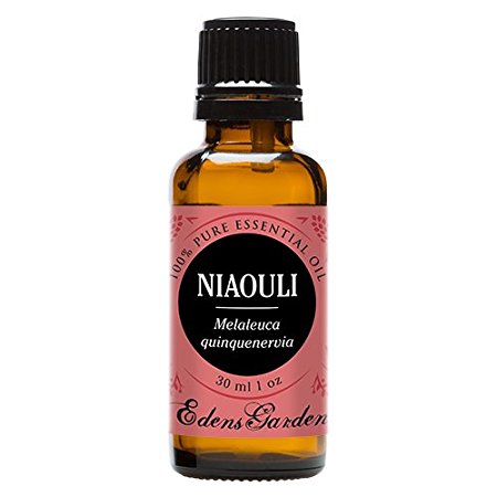 Niaouli 100% Pure Therapeutic Grade Essential Oil by Edens Garden- 30 ml