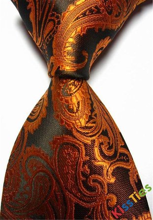 New Brown Paisley Jacquard Woven Men's Tie Necktie