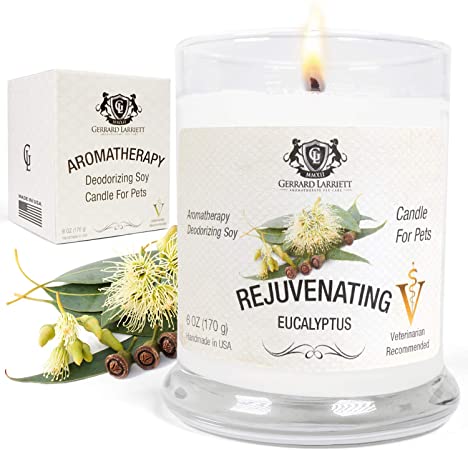Aromatherapy Soy Scented Candle for Pets - Dog Odor Eliminator & Animal Lover Gift (Rejuvenating Eucalyptus)