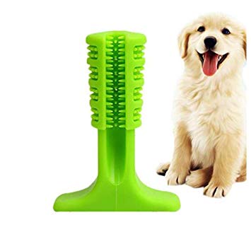 Beacon Pet Dogs Brushing Stick World's Most Effective Toothbrush Dogs Pets Oral Care