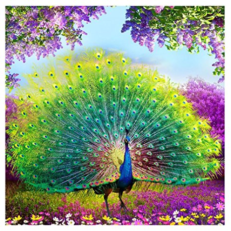 Adarl 5D DIY Diamond Painting Rhinestone Pictures Of Crystals Embroidery Kits Arts, Crafts & Sewing Cross Stitch Peacock 4