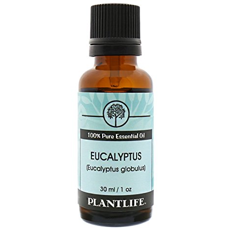 Eucalyptus 100% Pure essential Oil -30ml
