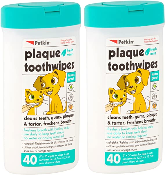 Petkin Plaque Toothwipes Fresh Mint 2 Packs of 40 wipes - Cleans teeth, gums, plaque & tartar, freshens breath. Tooth wipe for cat or dog. (2-Pack)