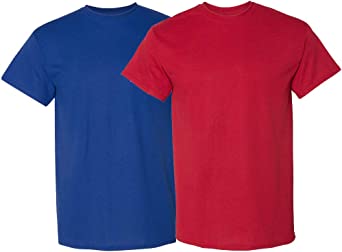 Gildan Men's DryBlend T-Shirt, Style G8000, 2-Pack