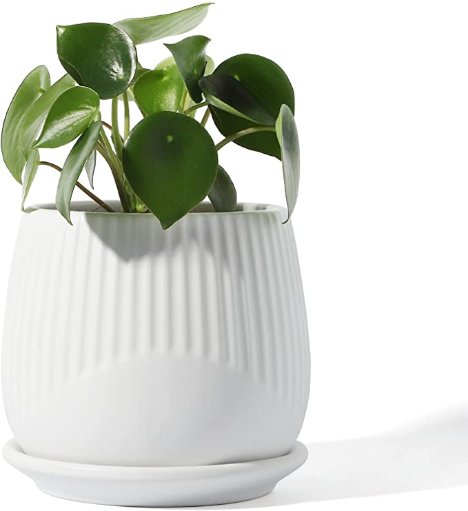 Ceramic Plant Pot - POTEY 5 Inch Indoor Pot with Drainage Hole and Tray for All House Plants - 808, White