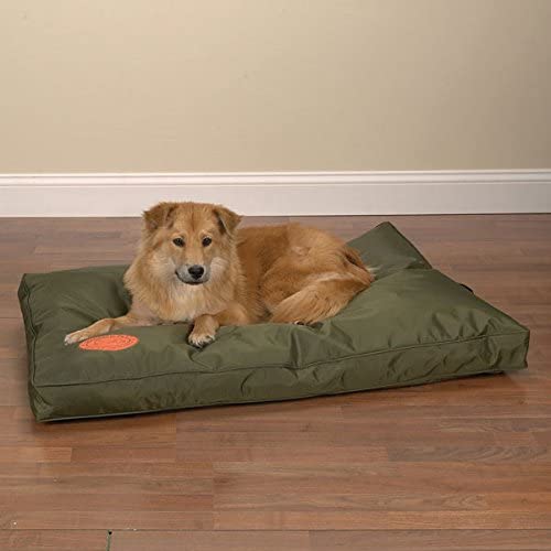 Heavy Duty Dog Bed Chew Resistant Indoor Outdoor Tough Soft Nylon Teflon Beds (Large - 42" L x 28" W 3" H Green)