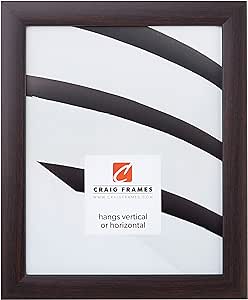 Craig Frames Contemporary Picture Frame, 20 x 28 Inch, Brazilian Walnut Brown