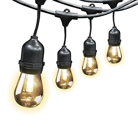 Feit Electric Indoor/Outdoor String Lights, 48ft - Great for Homes, Restaurants and Special Occasions (Includes 24 Light Sockets)