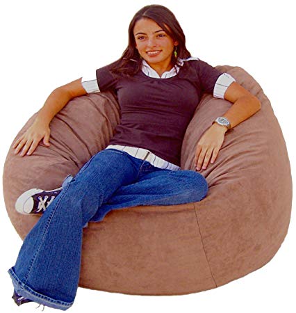 Cozy Sack 4-Feet Bean Bag Chair, Large, Earth