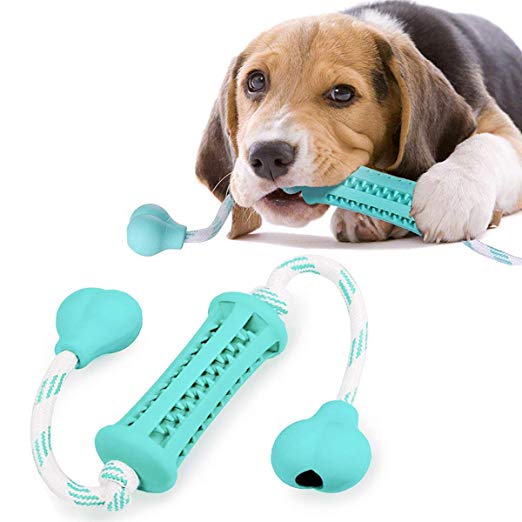 Dog Chew Toys, Dog Toothbrush Toys with Free-Play and Training : Cotton Rope & Safety Rubber Suitable for Puppies( 1lb- 30 lb)--Green