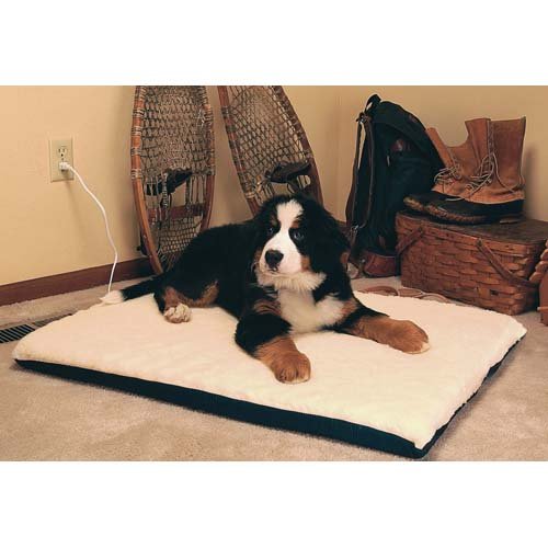 Ortho Heated Dog Pad with "Stay Put" Bottom Size: Extra Large (43" L x 33" W)