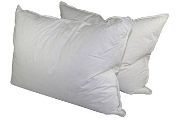 75% White Goose Feather / 25% White Goose Down Queen Pillow Set (2 Pillows)