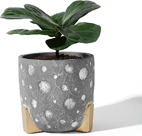 POTEY 051901 Cement Planter Pot - 5.5 Inch Grey Concrete Planters Bonsai Container with Golden Leg White Circle Detailing & Drainage Hole for Plants Flower Aloe(Plant NOT Included)