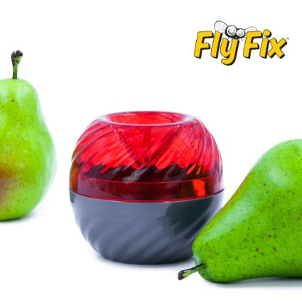 FlyFix Fruit Fly Trap (Reusable) (1, Red/Gray)