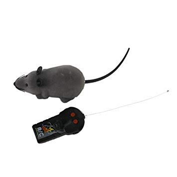 Towallmark Mini Remote Control RC Mouse Mice w/ Remote Controller Toy Gift for 3  Year Kids Children Grey