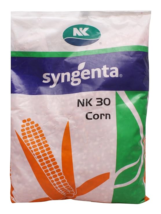 SYNGENTA Nk 30 Corn Seeds (4 kg)