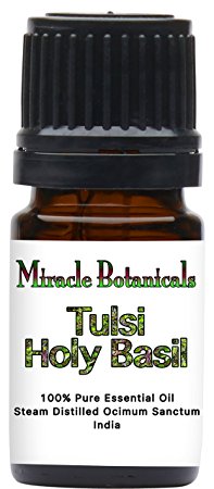 Miracle Botanicals Tulsi Holy Basil Essential Oil - 100% Pure Ocimum Sanctum - Therapeutic Grade - 5ml