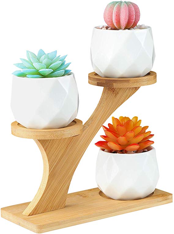 White Ceramic Succulent Pots with 3 Tier Bamboo Saucers Stand Holder - Modern Geometric Ceramic Pots …