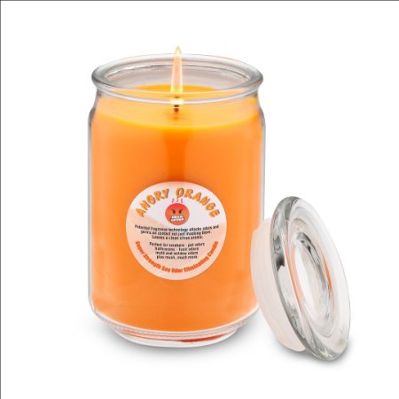 Odor Eliminating Soy Candle From Angry Orange - Eliminates Odors Leaving a Clean Citrus Scent - Perfect Gift for Smokers and Pet Owners - All Natural Soy Odor Eliminator Candle Is Made in USA - 18oz