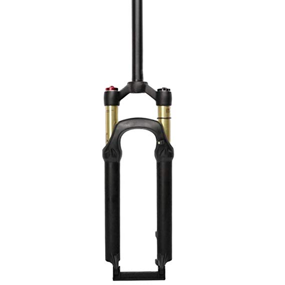 Ztz 2025 kashima forks