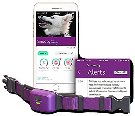 PetPace Smart Collar with 12 Months Pet Plus Monitoring