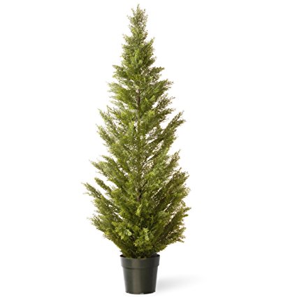 National Tree Arborvitae Tree with Dark Green Round Plastic Pot, 36-Inch