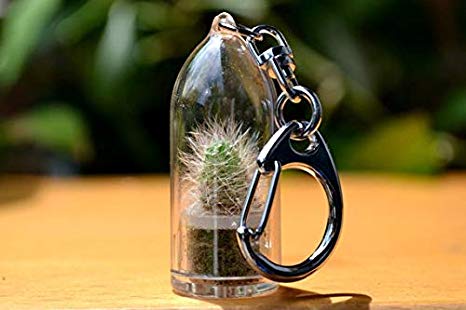 Snow White Cactus Terrarium Keychain Accessory. Gifts for Women, Gifts for Men. Nature Gift.