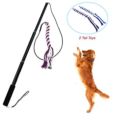 Wellbro Interactive Dog Extendable Teaser Wand, with 2 Rope Chew Tail Toy, Best Training and Excercing Teaser Toys for Small Medium Dogs