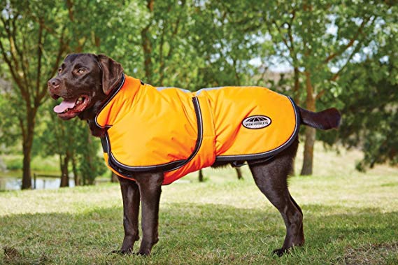 Weatherbeeta Parka 300D Deluxe Dog Coat