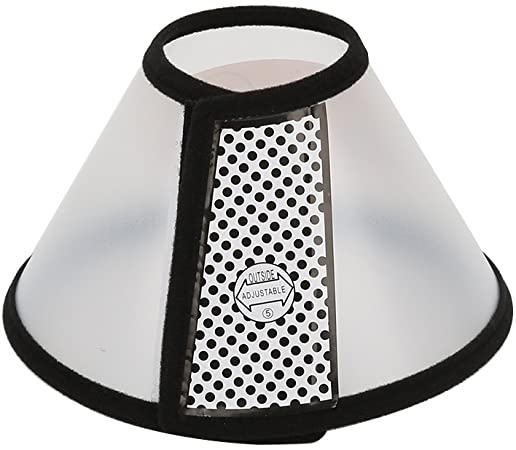 Vivifying Recovery Pet Cone, 8.1 Inches Lightweight Plastic Elizabethan Collar for Cats, Mini Dogs and Rabbits (Black)