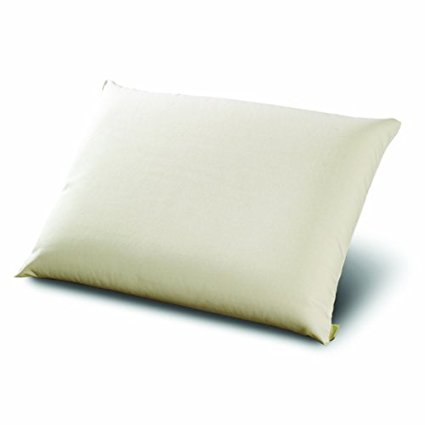 NaturLatex Exquisite Pillow by Natura, Standard
