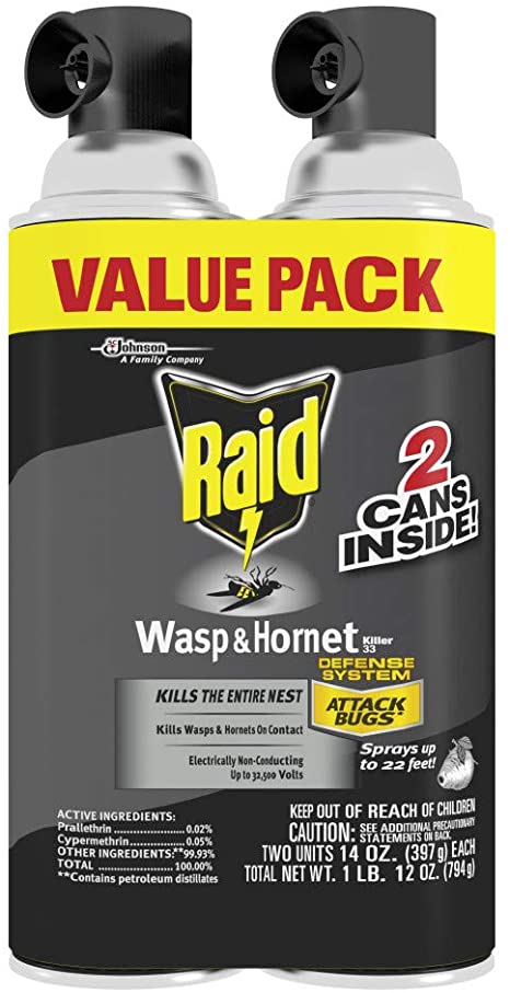 Raid 649019 Wasp & Hornet Killer