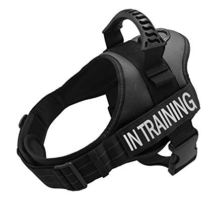 TOPPLE in Training Vest Harness-Reflective Vest wih Comfortable Handle for Small Medium Large Dogs,Purchase Come with 2 Reflective in Training Patches