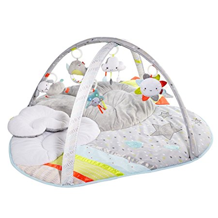 Skip Hop Silver Lining Cloud Activity Gym, Multi